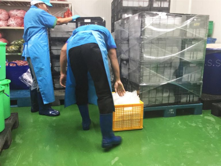 Thi Công Sơn PU Nền Nhà Xưởng Chế Biến Thực Phẩm