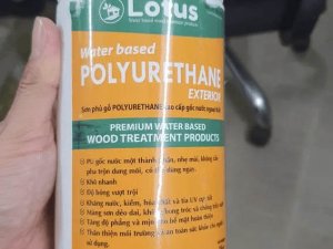 Ở đâu tôi có thể mua sơn bóng?