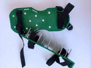 chat luong giay mui dinh