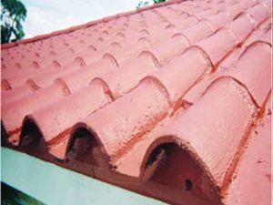 chong tham mai ngoi min