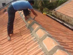 chong tham mai ngoi nha chong dot min