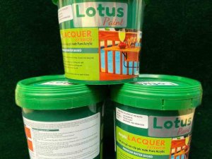 Sơn bóng cho gỗ Lotus Acrylic lacquer bóng hay bóng mờ bao nhiêu tiền?