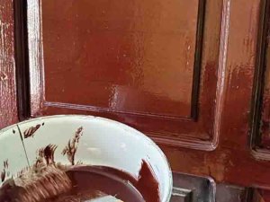 sơn màu gỗ đẹp cánh gián