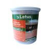 Sơn sàn giả gỗ ngoài trời giá rẻ 1m2 Lotus Decking Paint