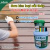 Sơn kim loại sắt thép Lotus Metal Coat 2 in 1 không cần lót