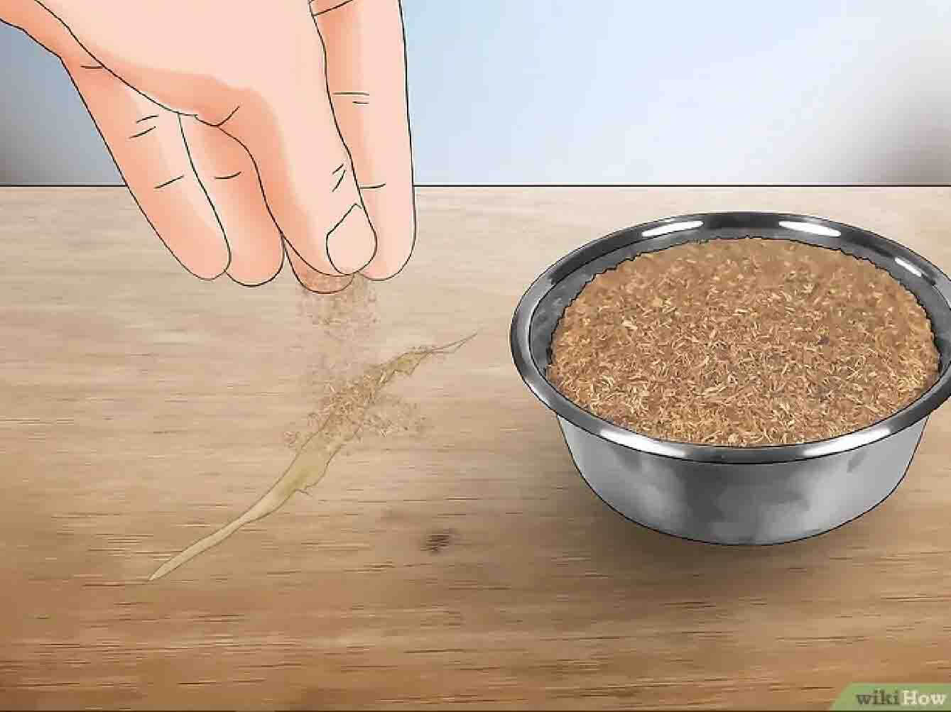 Cách để Xử lý vết nứt trên đồ gỗ Cách để Xử lý vết nứt trên đồ gỗ