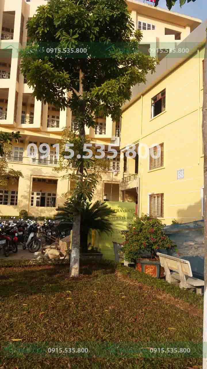 Ứng dụng tuyệt Xốp cách nhiệt XPS Cách âm xốp xps vời trong hạng mục