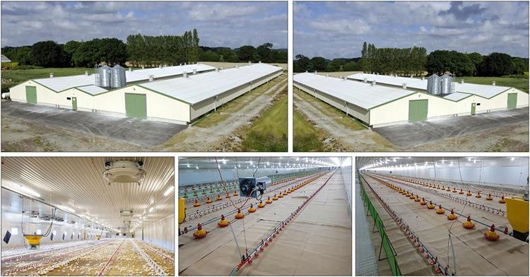 Cải thiện lại chất lượng chuồng trại