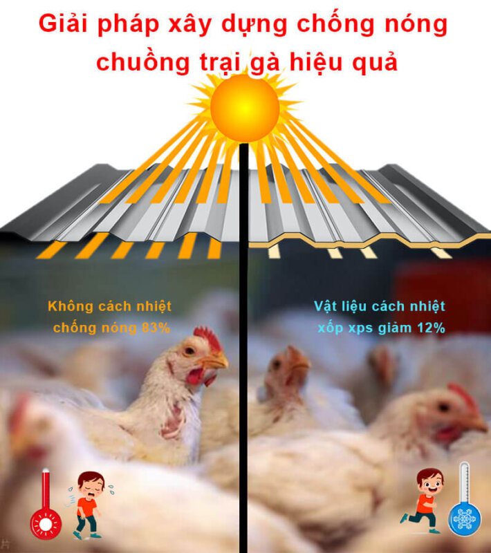 Giải pháp xây dựng chống nóng chuồng trại gà hiệu quả