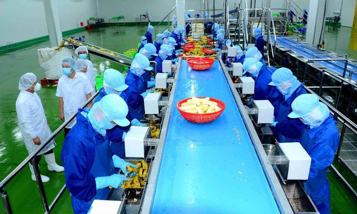 Tiêu chuẩn nào cho các nhà máy gia công thực phẩm