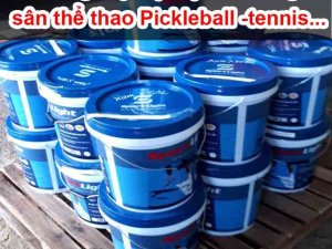 ‌‌Cung cấp Vật liệu thi công sân thể thao Pickleball