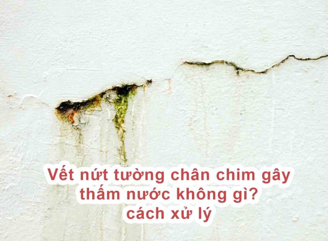 Vết nứt tường chân chim gây thấm nước không gì?