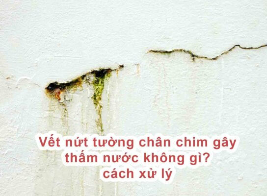 Vết nứt tường chân chim gây thấm nước không gì?