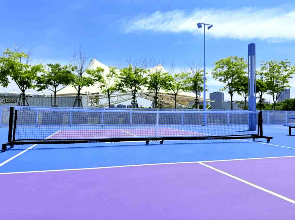 Review màu sân Pickleball tím kết hợp với bue xanh đậm