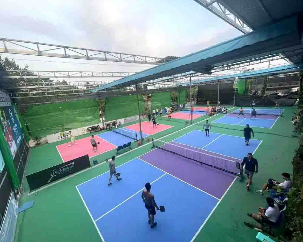 sân pickleball hà nội màu biên xanh lá cây, bếp màu tím, chuồng màu xanh dương đậm