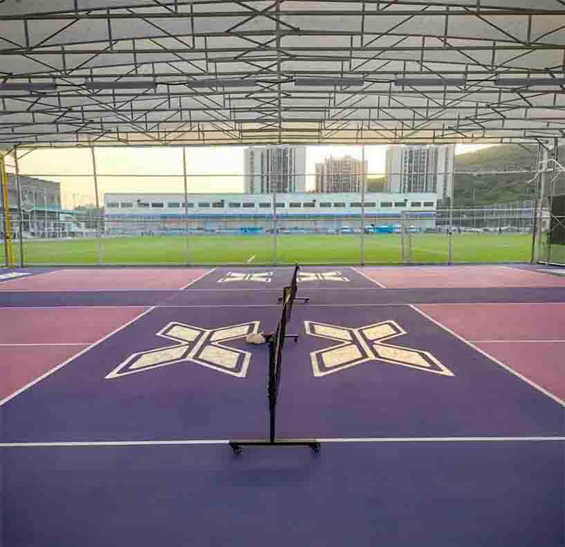 màu sắc sân pickleball màu tím đậm và hồng tím